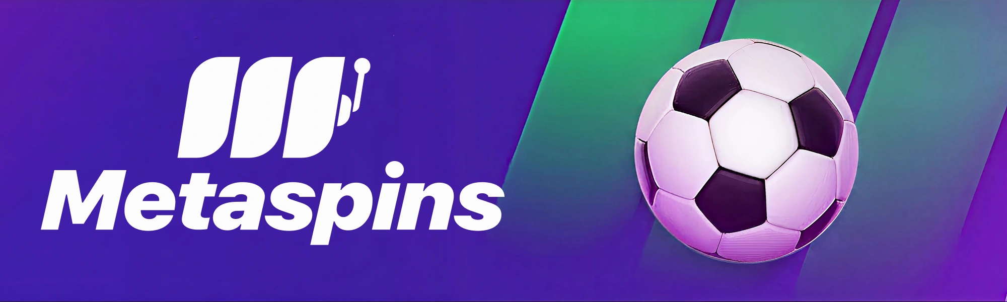 Metaspins banner