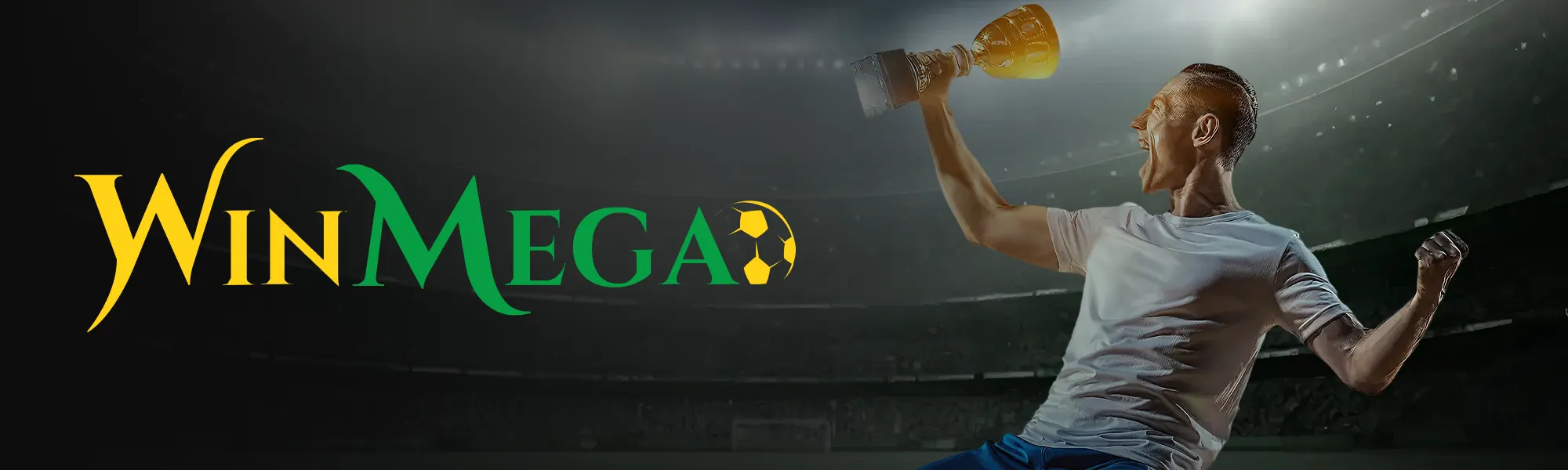 WinMega banner